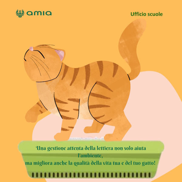 Lettiera per gatti